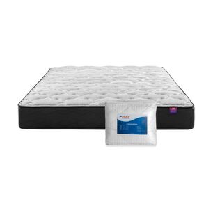 Colch&oacute;n Flex Therapedic Plus / 2 Plazas