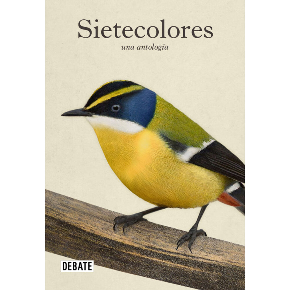 Sietecolores: Una Antologia image number 0.0