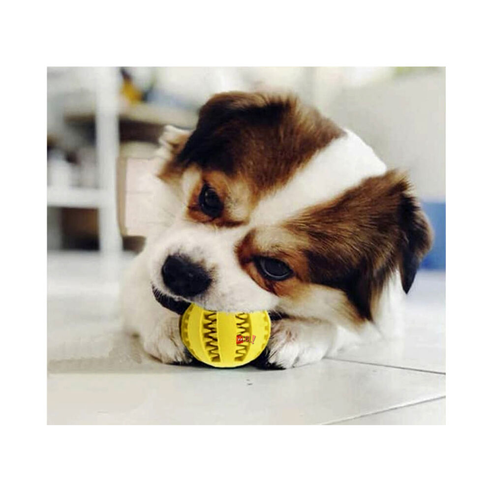 Pelota Mascotas De Juguete Para Limpieza De Dientes - Ps image number 2.0