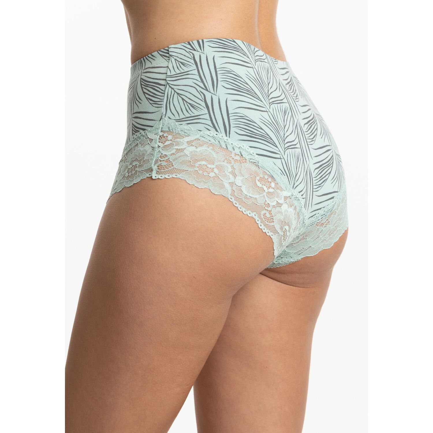 Pack 3 Pantaletas Tiro Alto Algod&oacute;n Mujer Kayser P3145053-ver1 image number 2.0