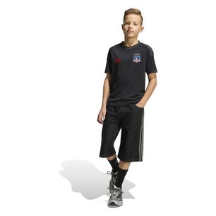 Polera Versi&oacute;n Fan De Visitante Para Ni&ntilde;os Del Colo-colo 2026