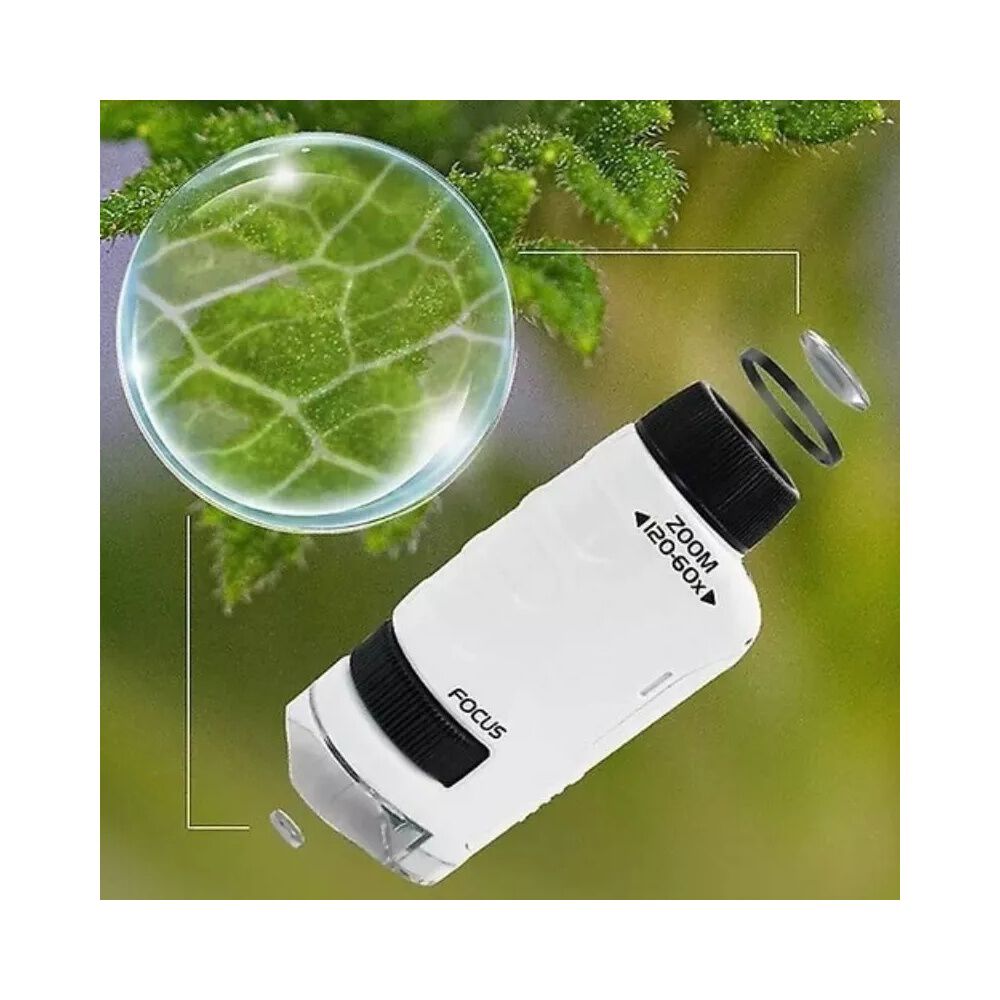 Juguete Microscopio Cientifico Lente 60-120x image number 3.0