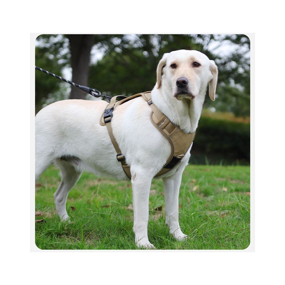 Arn&eacute;s Para Perro Ajustable Con Correa 1,5m Reflectante Kayla image number 1.0