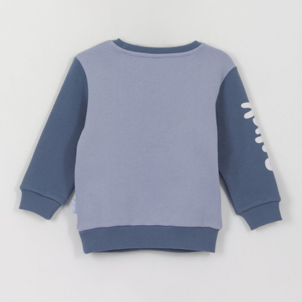 Poler&oacute;n Cerrado Ni&ntilde;o Personaje Azul Bluey image number 1.0