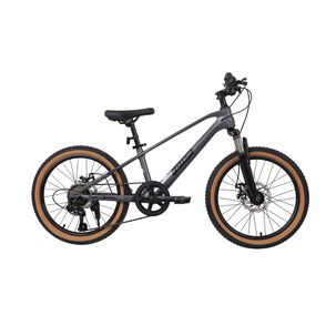 Bicicleta Totem Mtb Aro 20 Modelo Spark Magnesio Gris