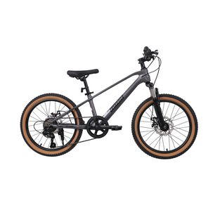 Bicicleta Totem Mtb Aro 20 Modelo Spark Magnesio Gris