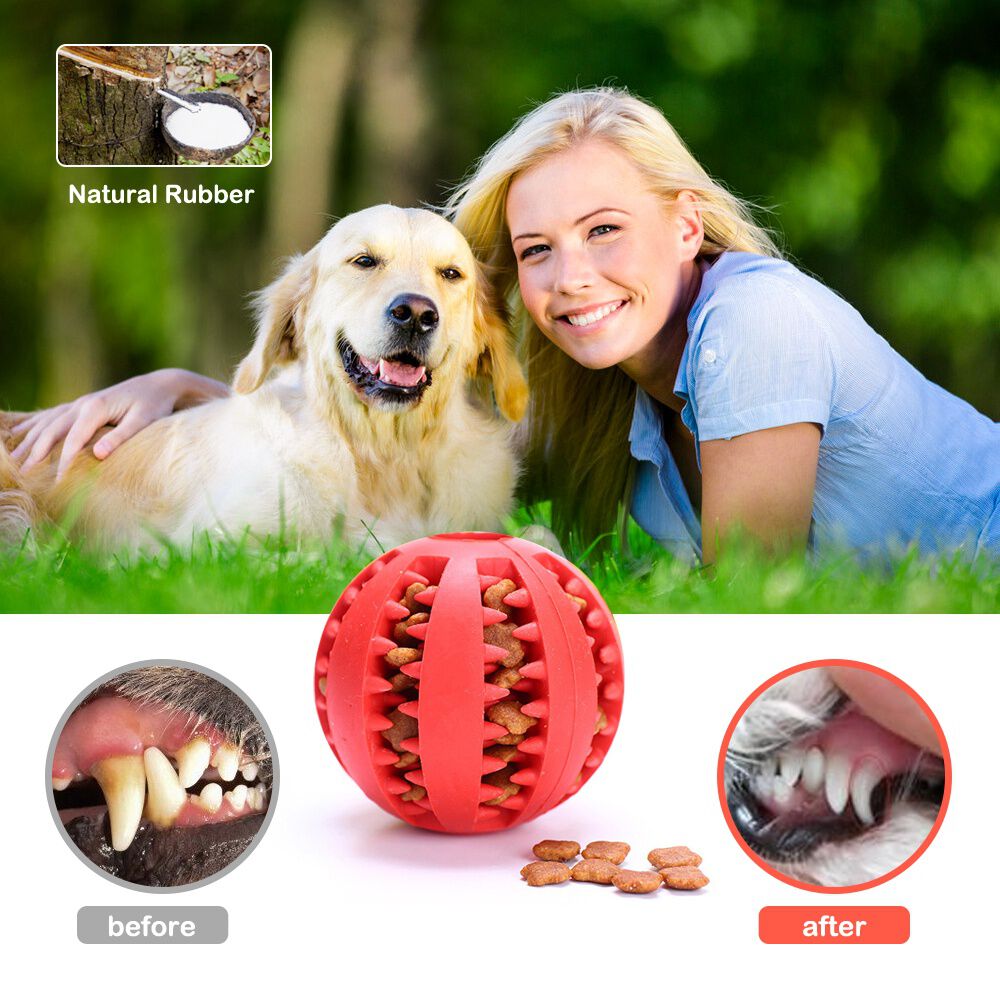 Pelota Dental Interactiva Limpieza Perros image number 7.0