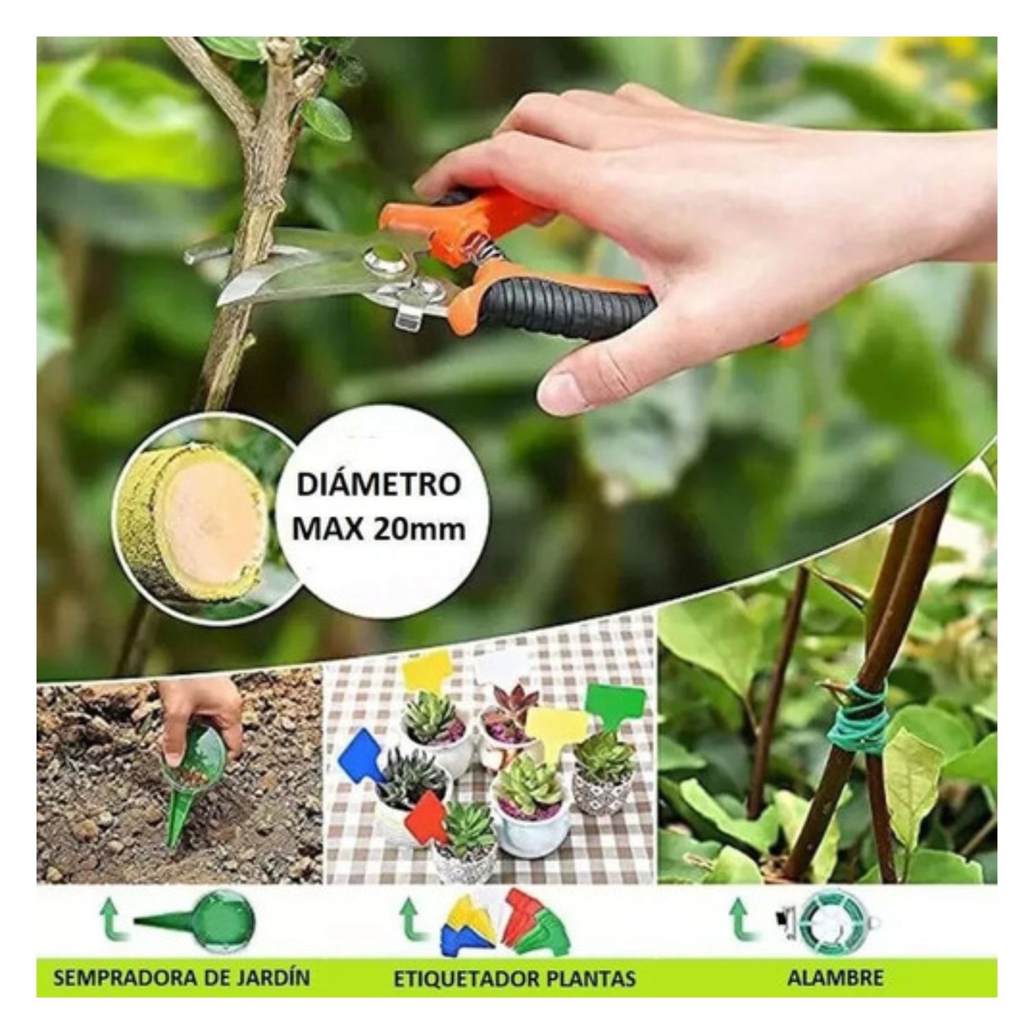 Set 50 Pcs Jardiner&iacute;a Pro De Todo Tipo De Plantas Flores image number 3.0