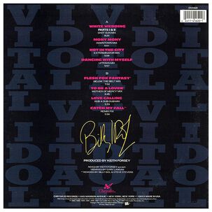 Billy Idol - Vital Idol | Vinilo Usado