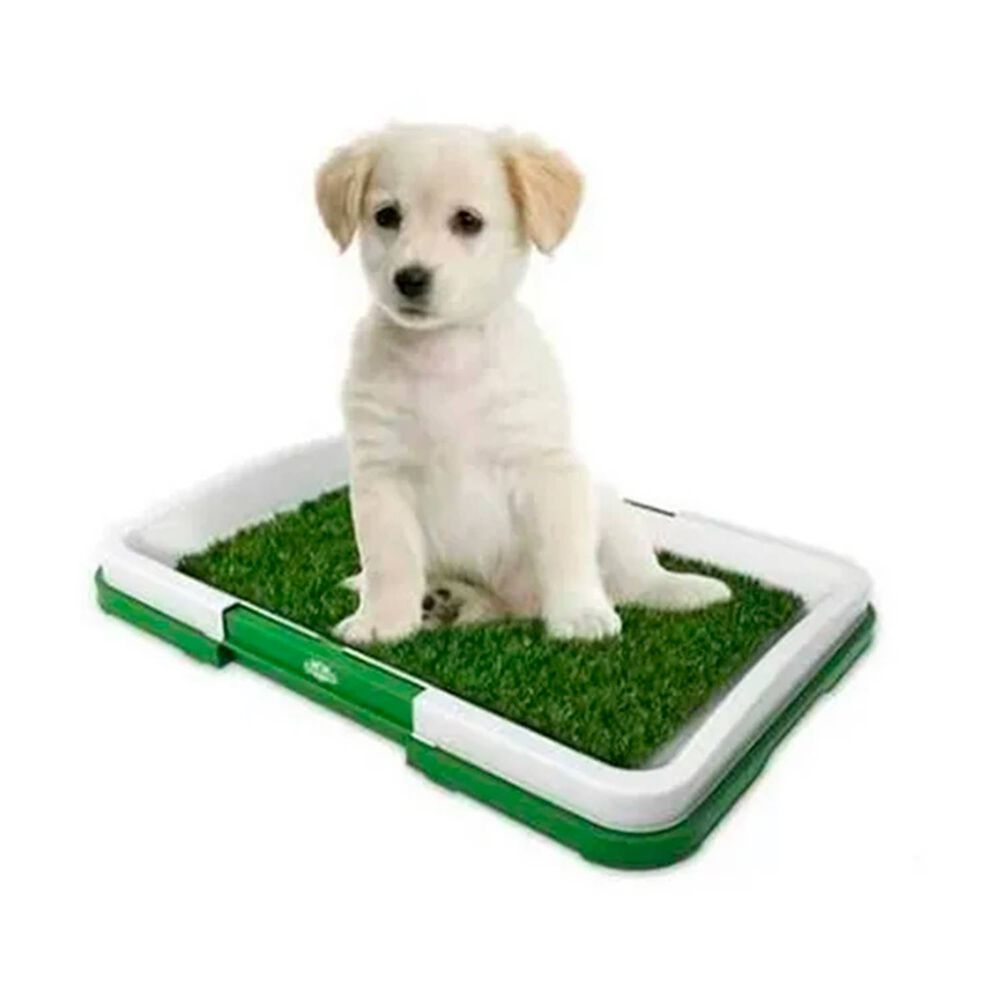 Baño De Pasto Sintetico Perro Pequeño image number 0.0