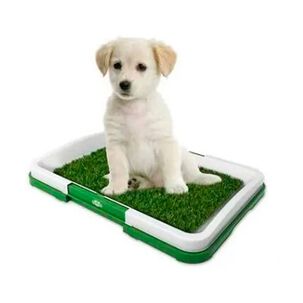 Ba&ntilde;o De Pasto Sintetico Perro Peque&ntilde;o