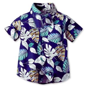 Camisa Hawaiana Manga Corta Ni&ntilde;o De 6 Meses A 7 A&ntilde;os Verano Tropical Surtido