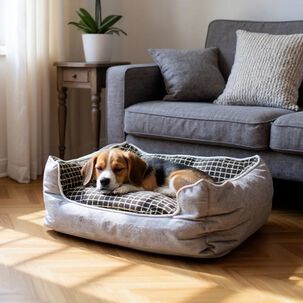 Cama Para Mascotas Espuma - Talla M (gris)
