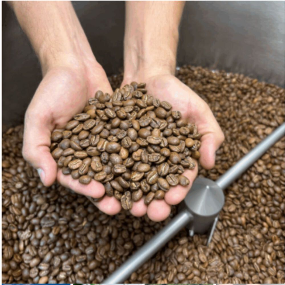 Cafe Molido Nosso Cafe Justo Tropical Blend 250g image number 5.0