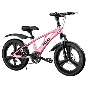 Bicicleta Infantil 10-15 A&ntilde;os Aro 22 City Lubabycas