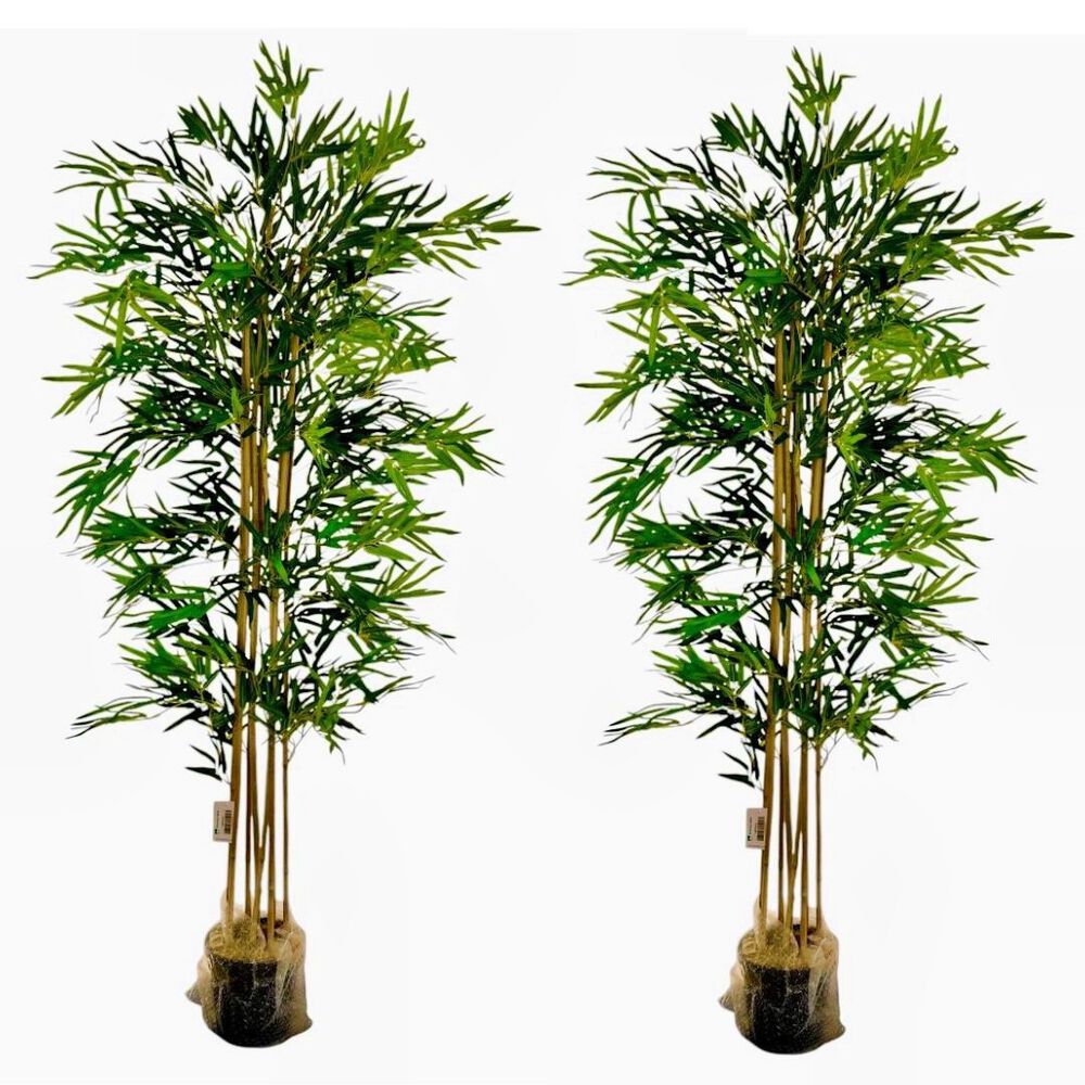 2 X 1 Bamboo Premium 150 Cm. / 1095 Hojas Arbusto Real image number 0.0