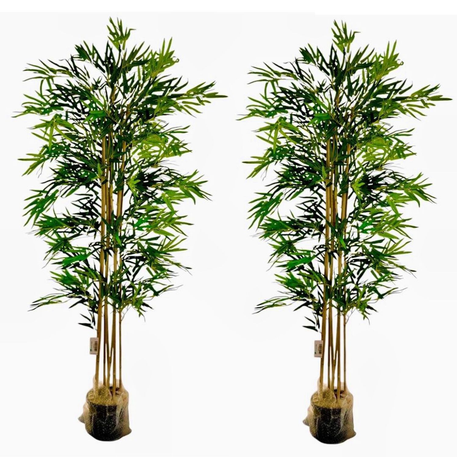 2 X 1 Bamboo Premium 150 Cm. / 1095 Hojas Arbusto Real image number 0.0