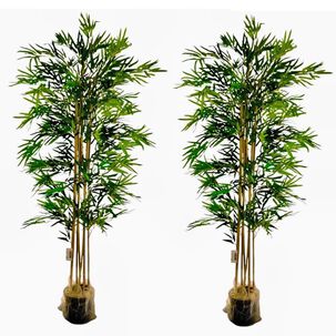 2 X 1 Bamboo Premium 150 Cm. / 1095 Hojas Arbusto Real