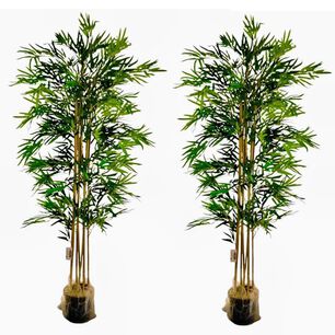 2 X 1 Bamboo Premium 150 Cm. / 1095 Hojas Arbusto Real
