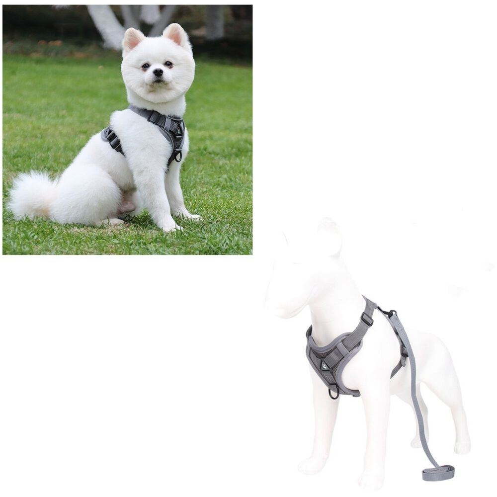 Arn&eacute;s Para Perro Ajustable Con Correa Reflectantes M image number 1.0