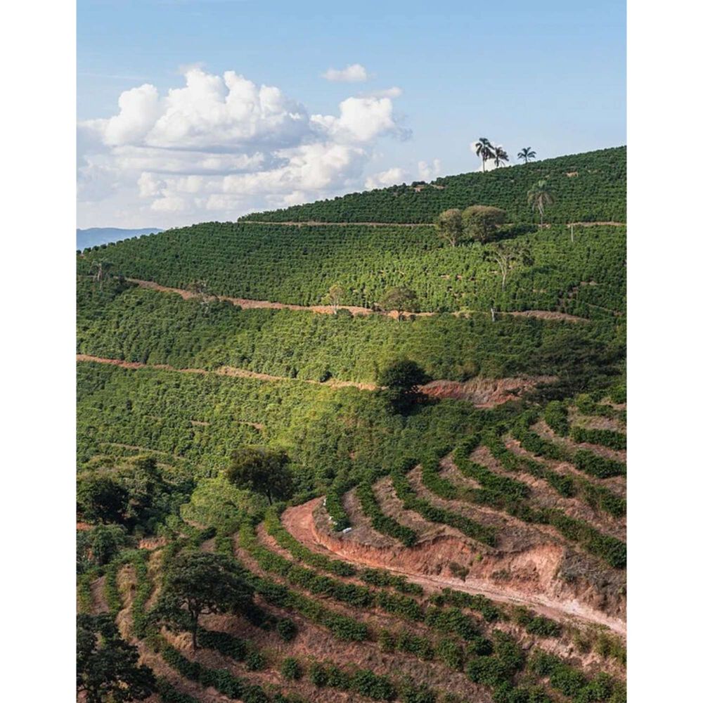 Cafe En Grano Kawas Brasil Carmo De Minas Origen 250g image number 2.0