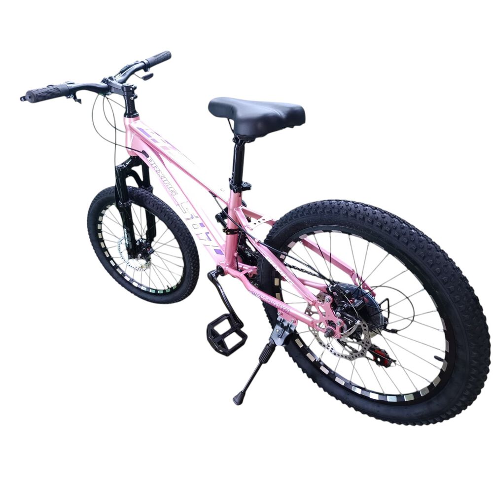 Bicicleta Aro 20 Brxing Sv7 Rosado Con Freno Disco Y 21 Velocidades image number 5.0