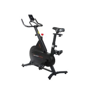 Bicicleta Spinning Magnetica Z350 Pro