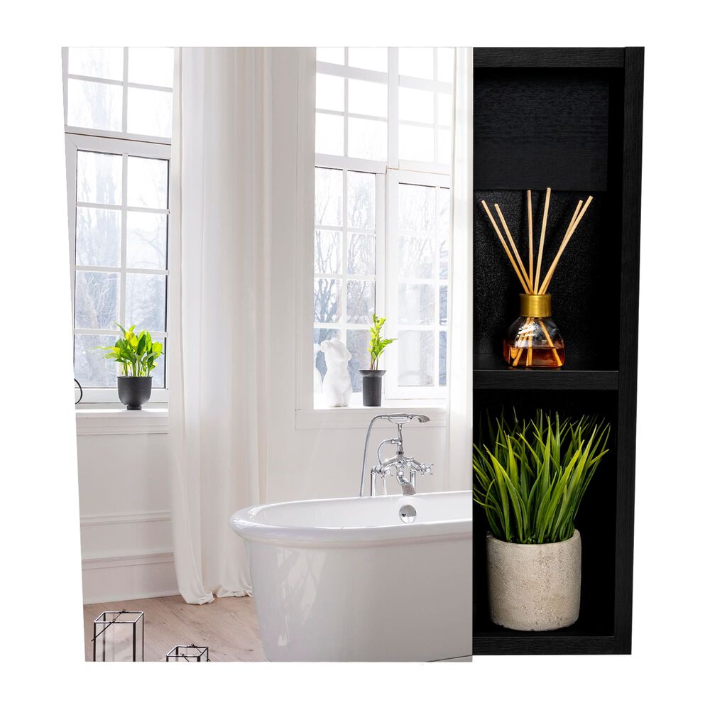 Botiquin Con Espejo 1 Puerta Fm-017n - Negro image number 2.0