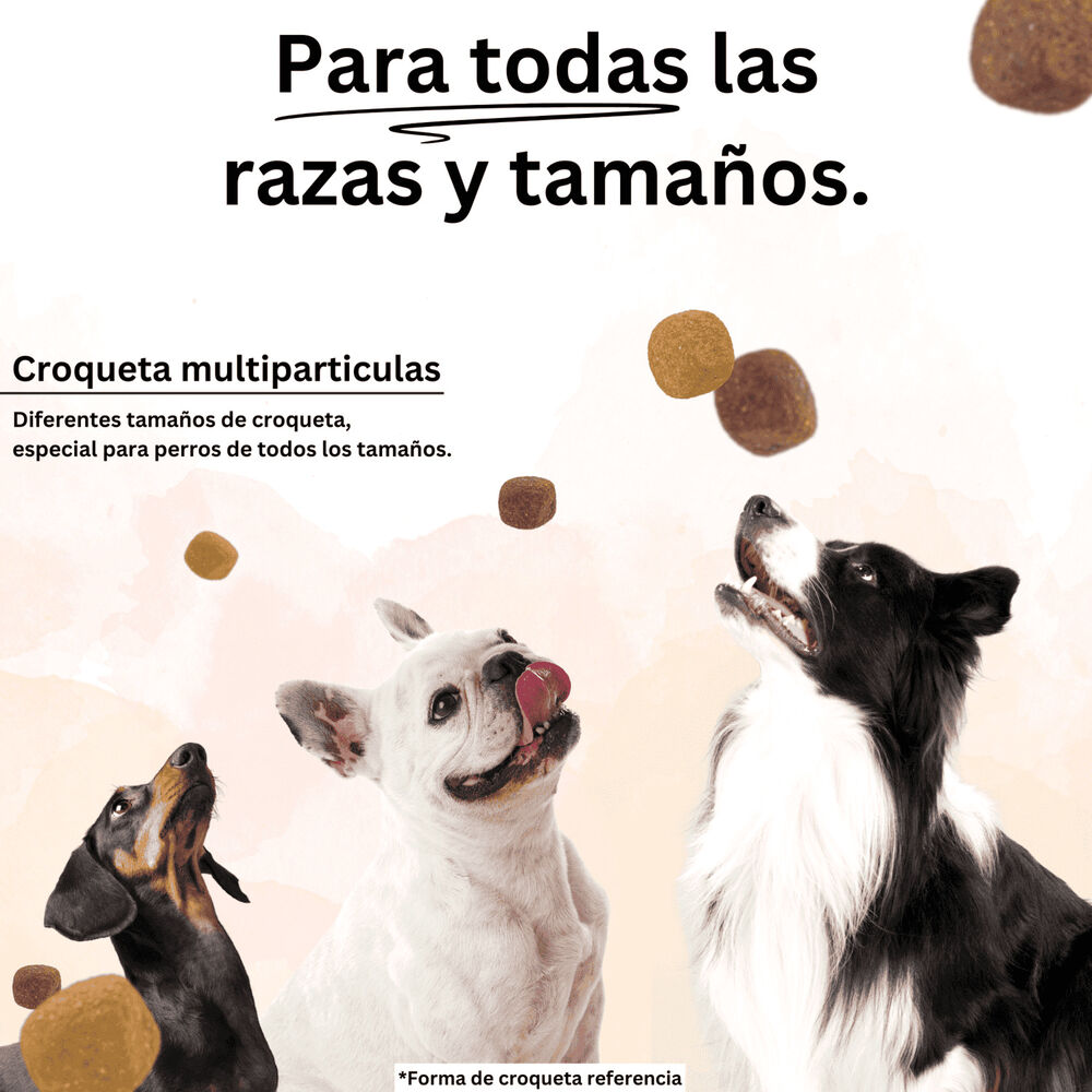 Alimento Para Perro Adulto Acomer Naturals 22kg image number 4.0