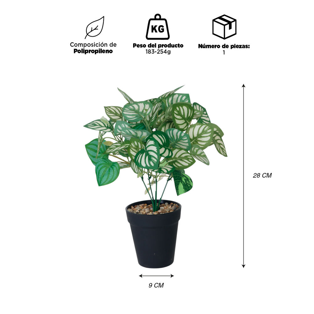 Planta Artificial Peperomia 28x9 Cm image number 2.0