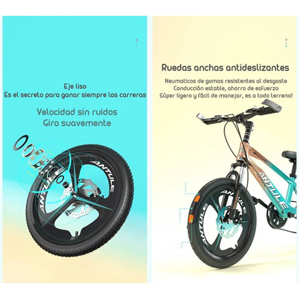 Bicicleta Infantil 8-10 A&ntilde;os Aro 20 Lubabycas Rosada image number 5.0