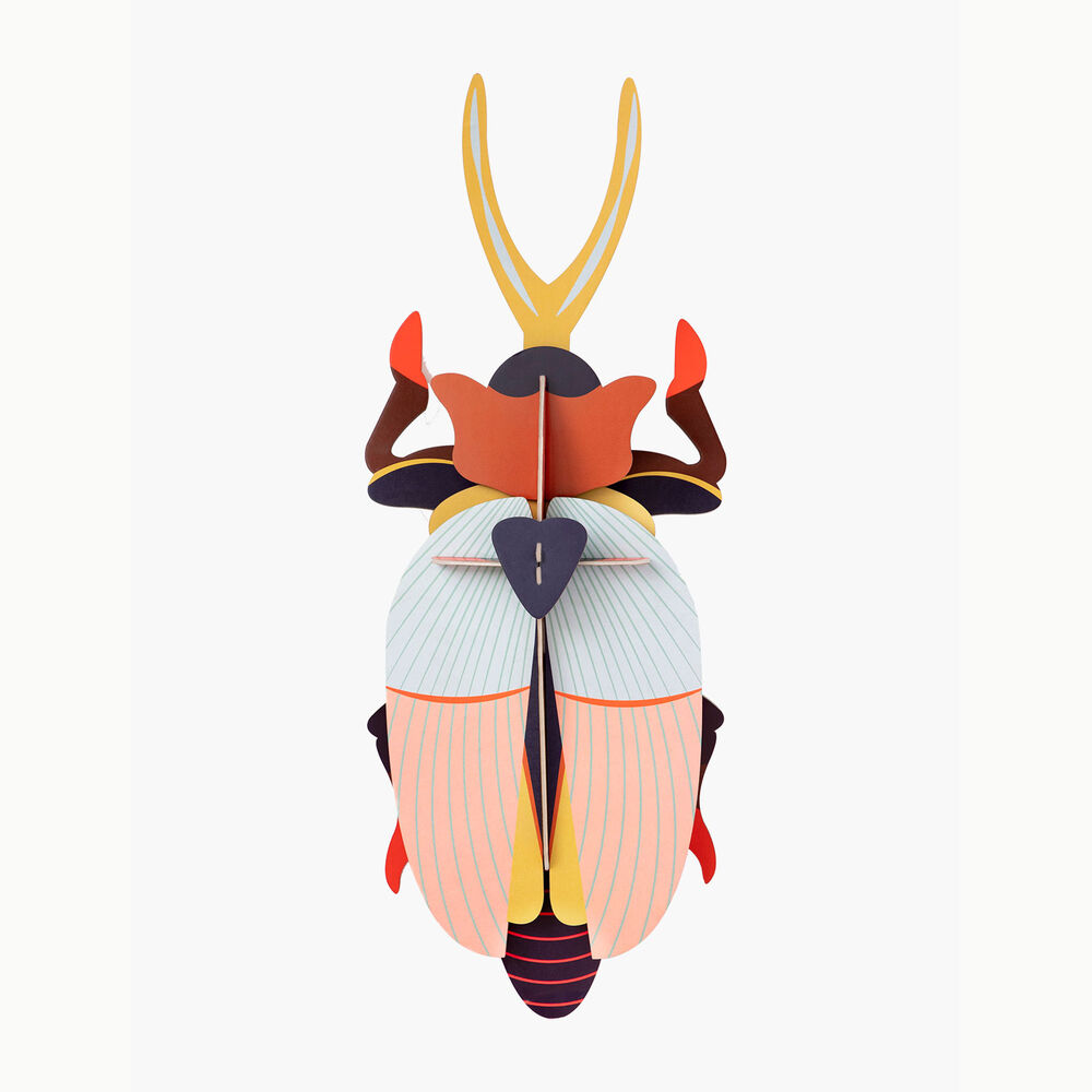 Deluxe - Rhinoceros Beetle image number 0.0