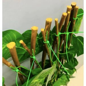 Malla Cerca Planta Enredadera