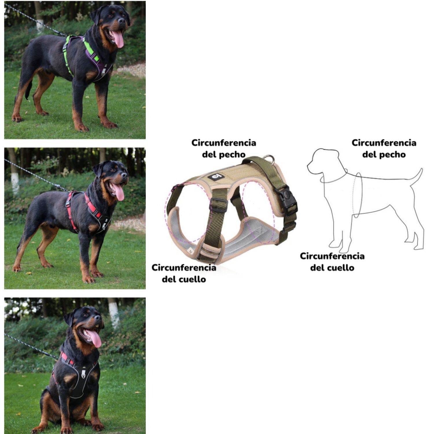 Arn&eacute;s Para Perro Ajustable Con Correa Reflectantes Mimi S image number 2.0