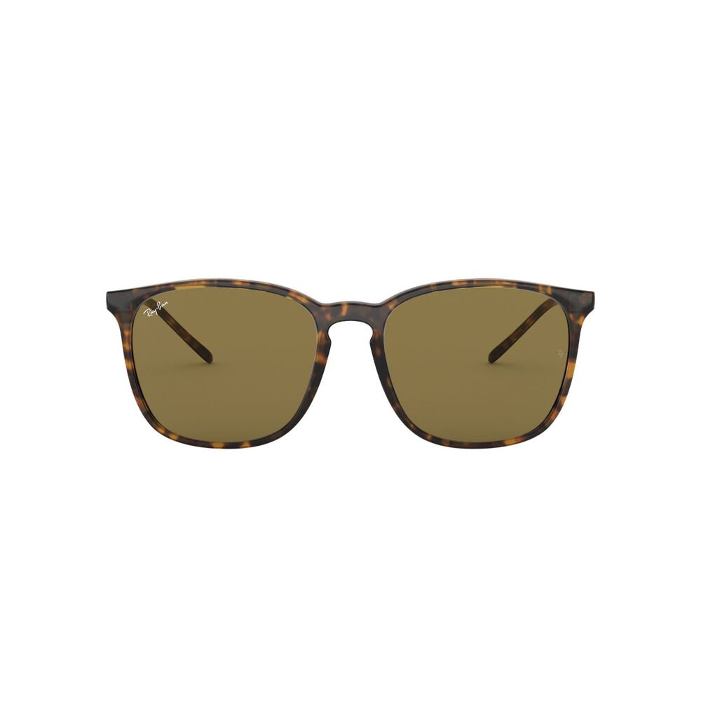 Lentes De Sol Ray-ban Black Green image number 1.0
