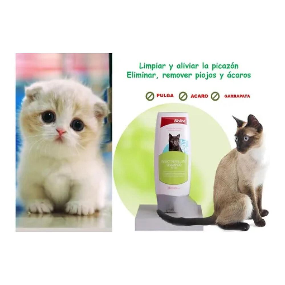 Shampoo Repelente De Insectos Para Gatos 200ml Bioline image number 1.0