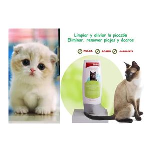 Shampoo Repelente De Insectos Para Gatos 200ml Bioline