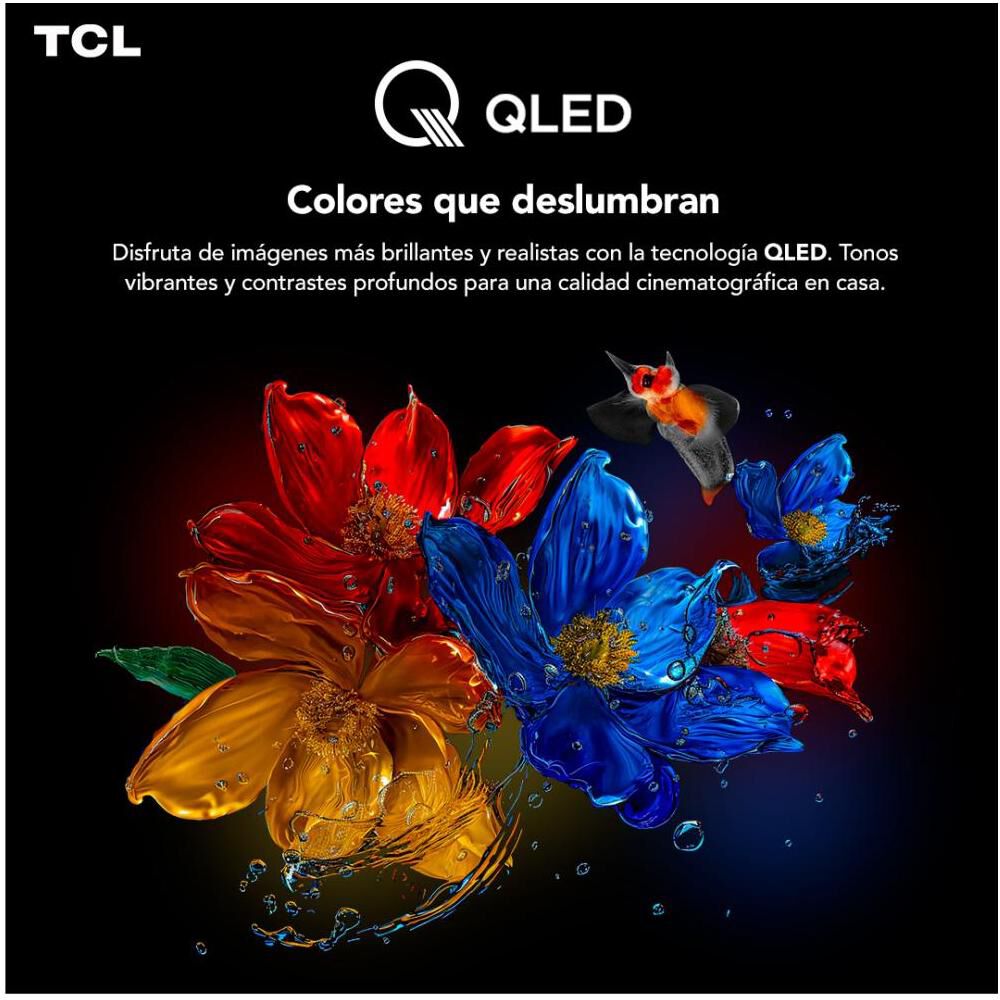 Qled 75" TCL 75T6C / Ultra HD 4K / Smart TV image number 2.0