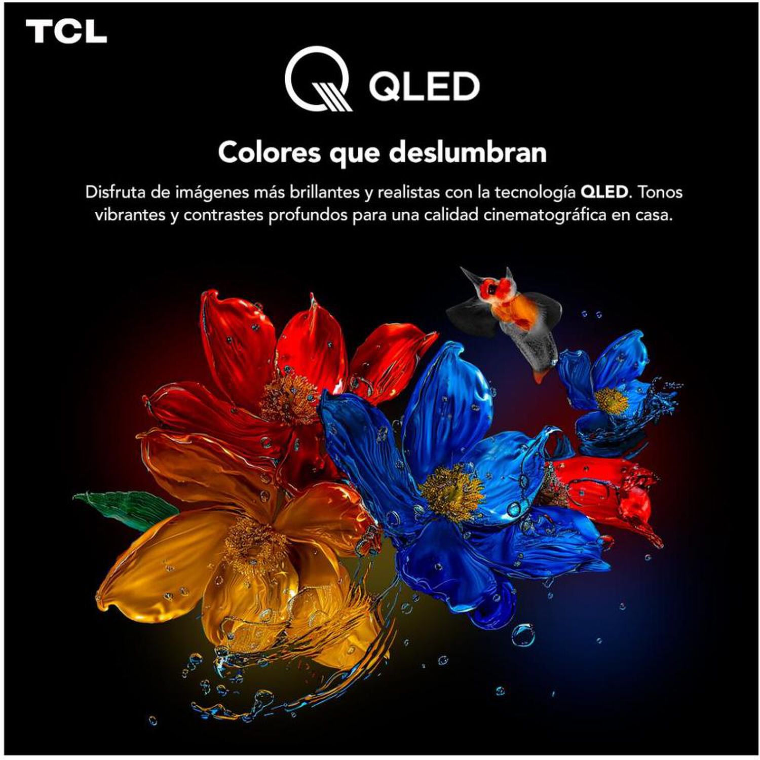 Qled 75" TCL 75T6C / Ultra HD 4K / Smart TV image number 1.0