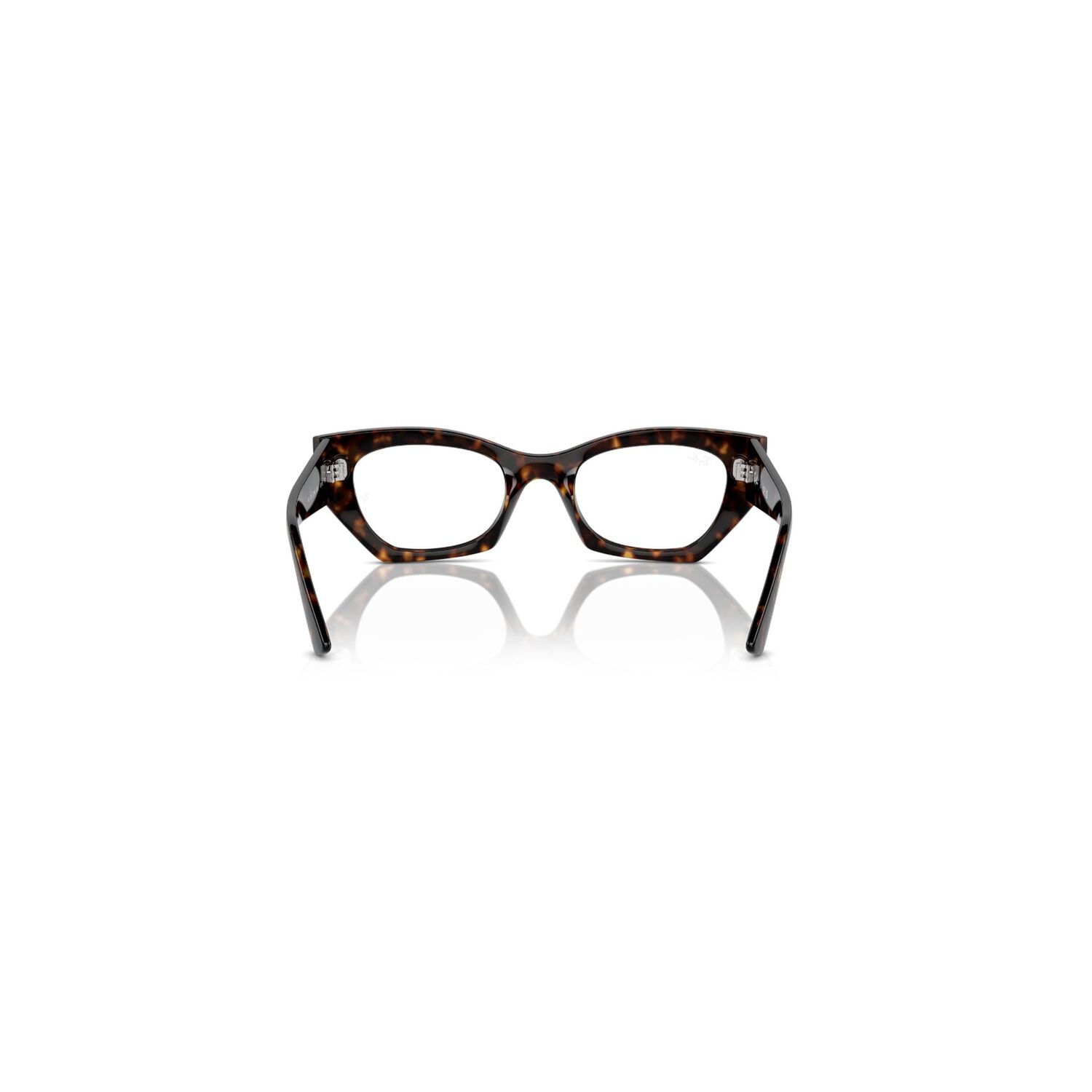 Lentes &Oacute;pticos Zena Havana Bio-based Sustentable Ray-ban Optical image number 3.0