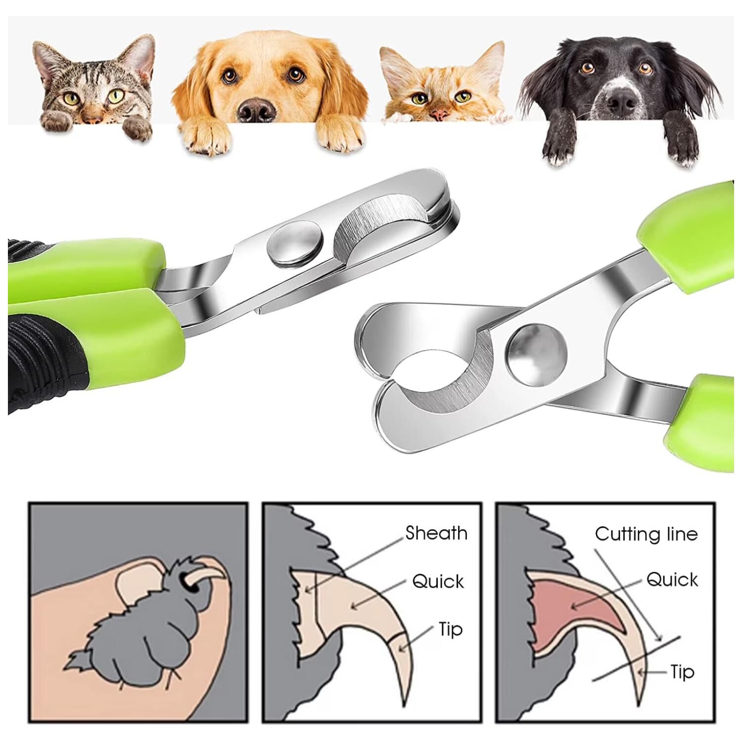 Tijeras Cortau&ntilde;as Para Perros O Gatos Mascotas image number 2.0