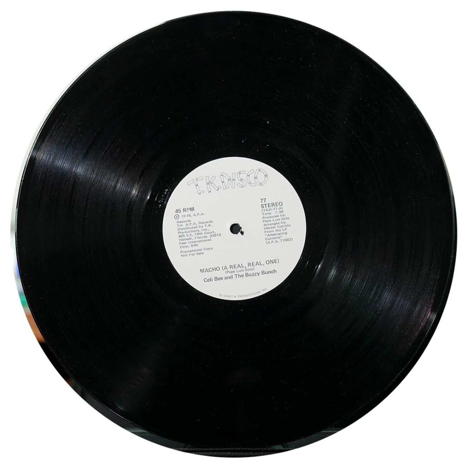 Celi Bee And The Buzzy Bunch - Macho (a Real, Real, One) | 12" Maxi Single Usado image number 2.0