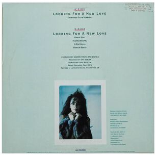 Jody Watley - Looking For A New Love | 12" Maxi Single Usado