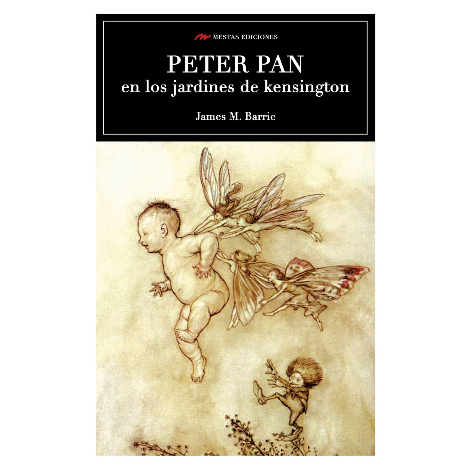 Peter Pan En Los Jardines De Kensington image number 0.0
