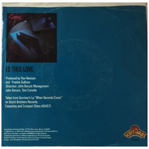 Survivor - Is This Love | 7" Single Usado