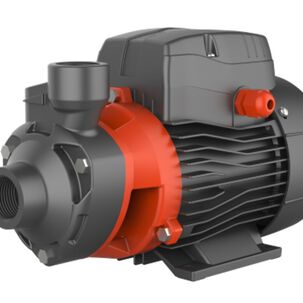 Bomba Perif&eacute;rica Leo Apm150 2hp