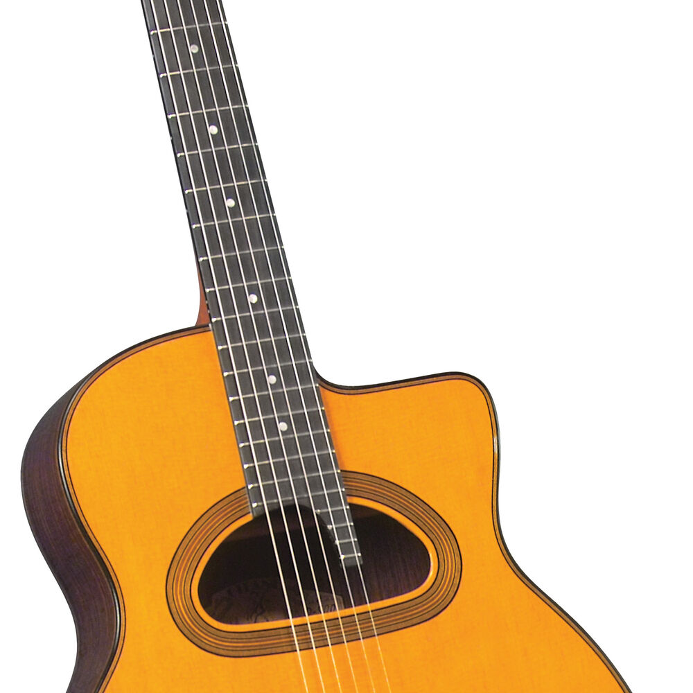Guitarra Gypsy Jazz Profesional Gitane D-500 image number 0.0