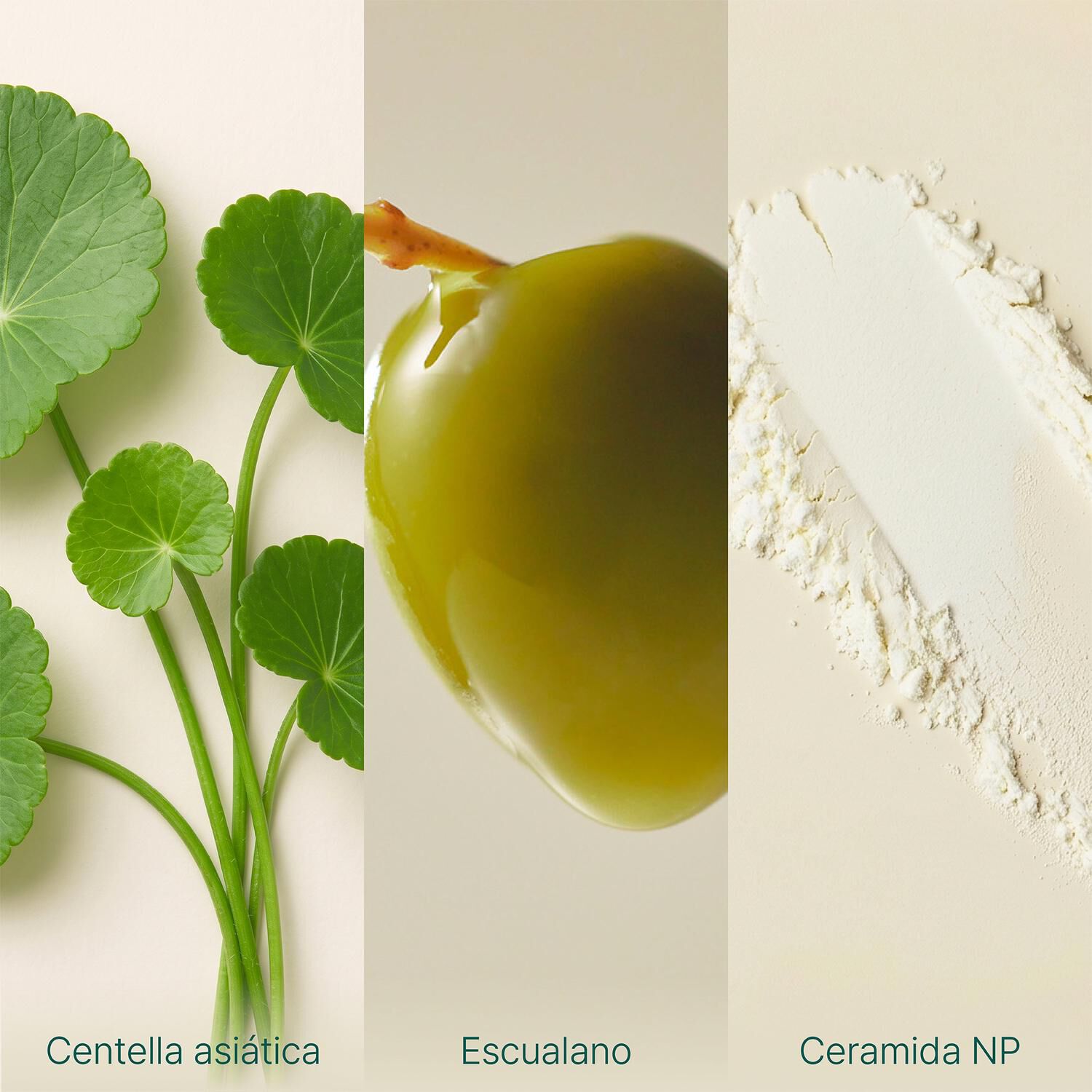 Crema Facial Centella 50ml Purito Wonder Releaf Sin Perfume image number 4.0