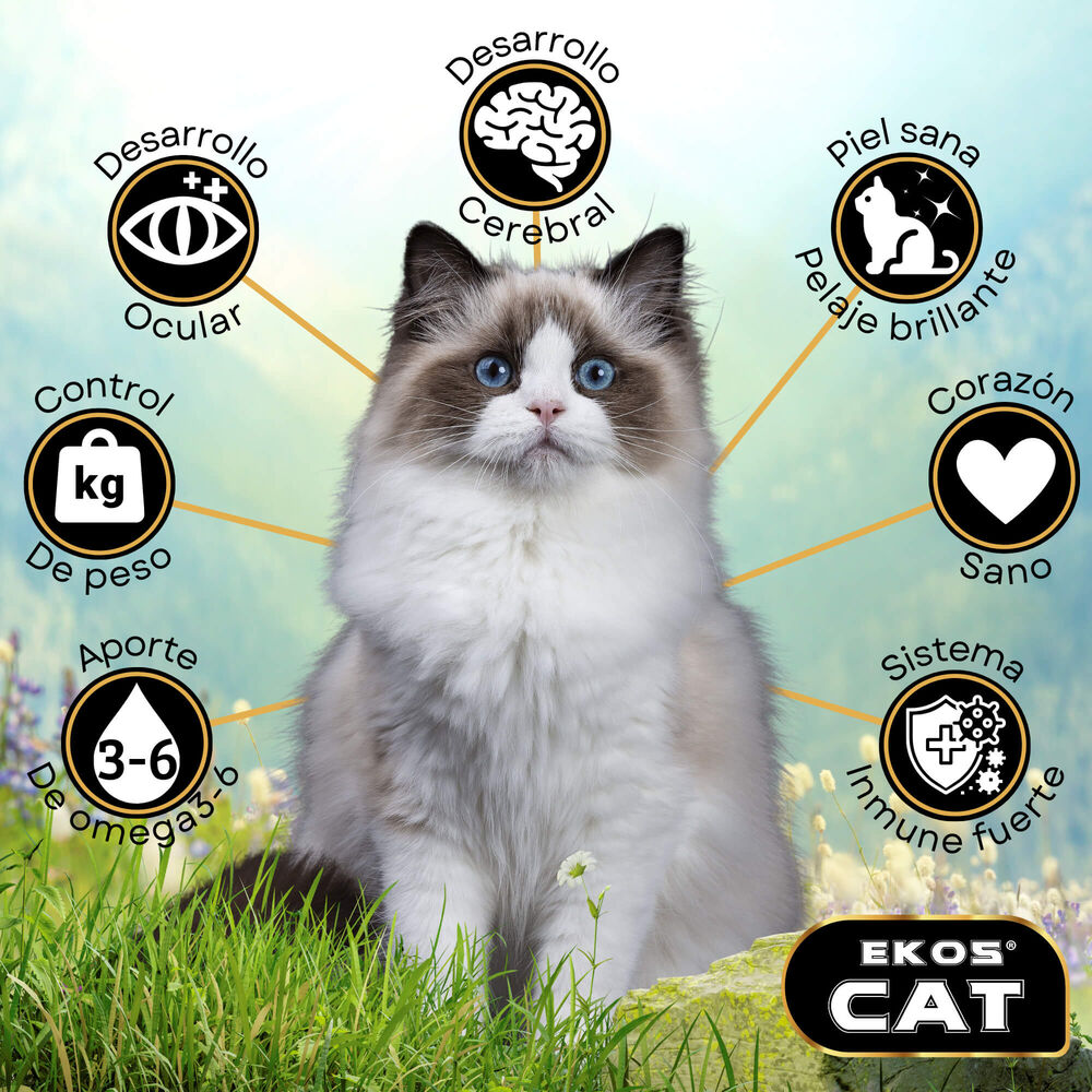 Alimento Para Gato Adulto Ekos Cat 16kg image number 1.0