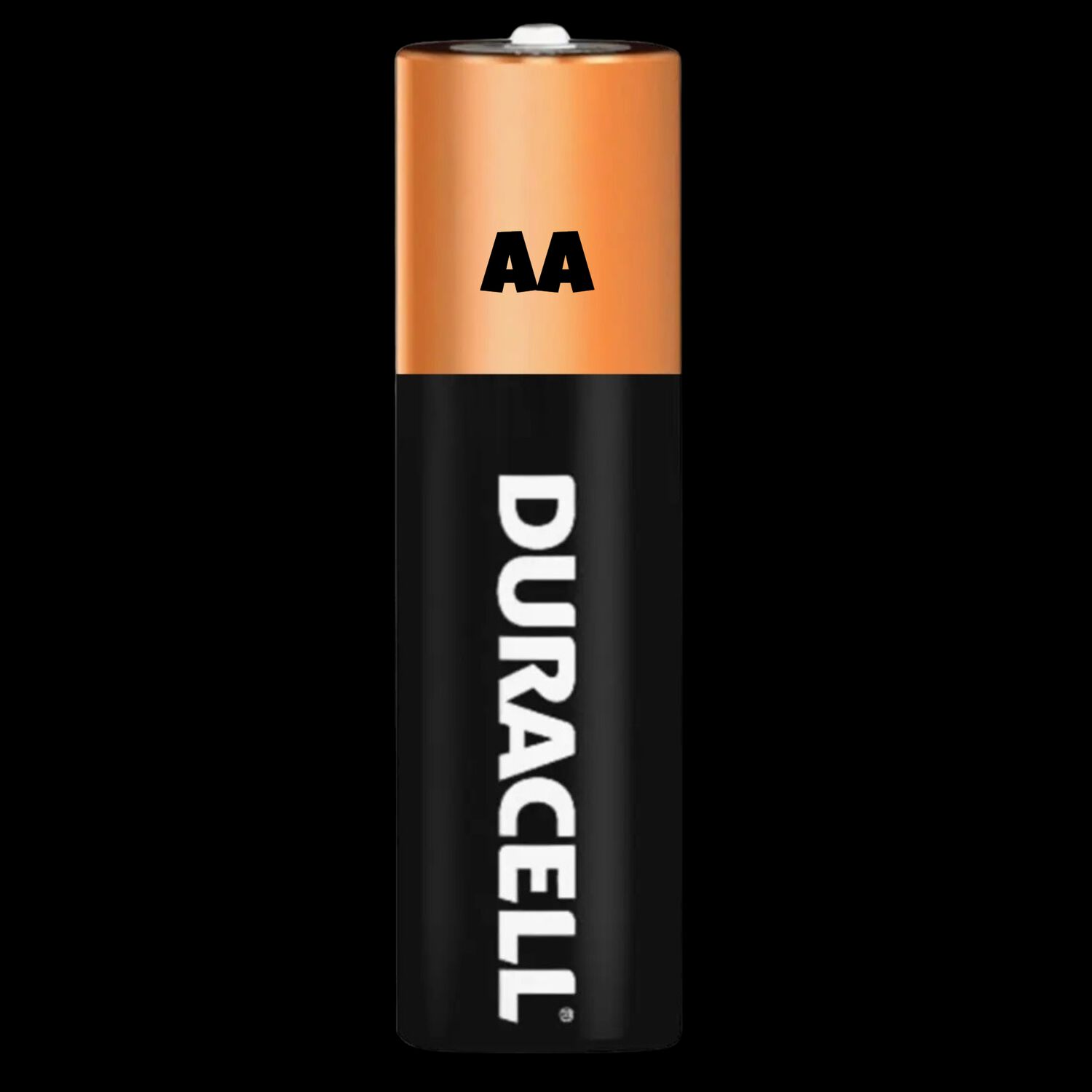Pack 12 Pilas Duracell Aa Alcalina 1.5 V De Larga Duraci&oacute;n image number 1.0